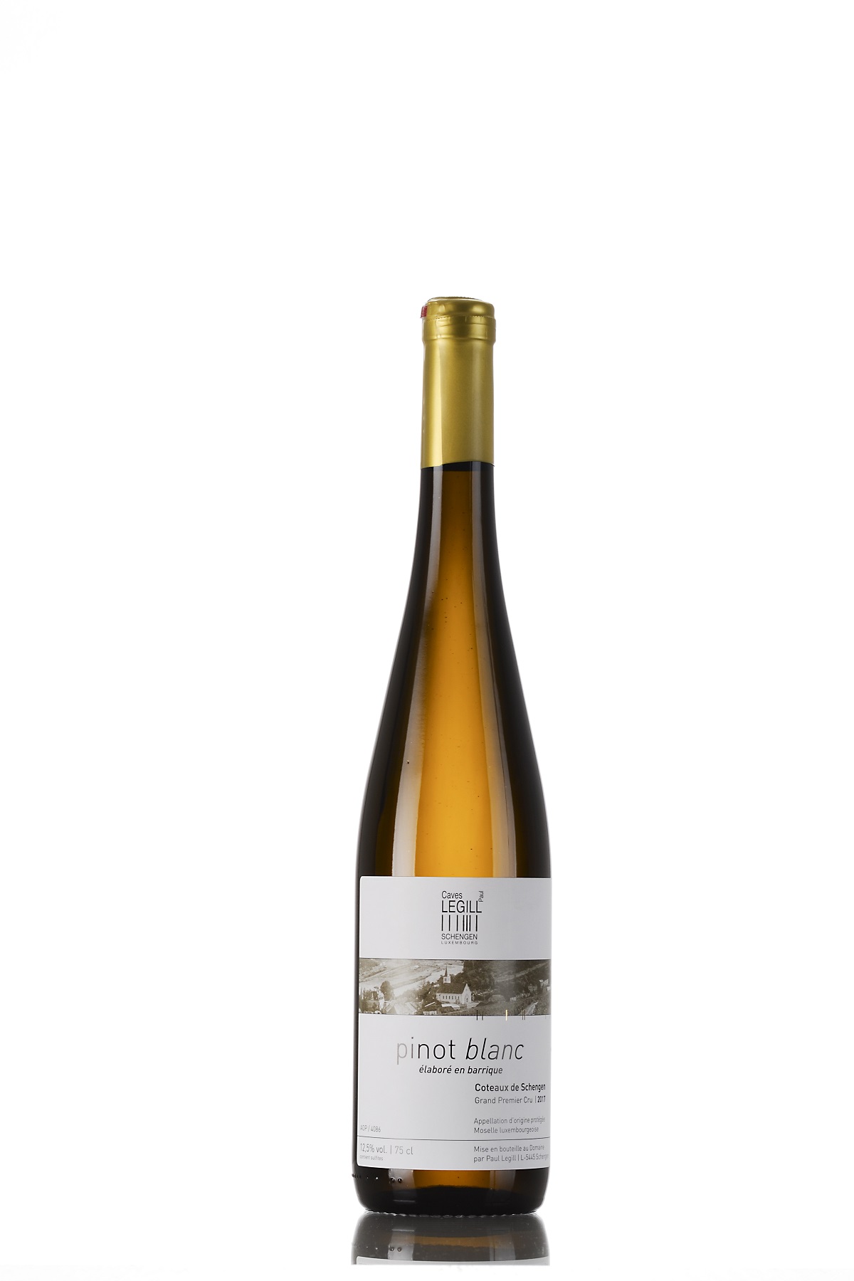 Pinot-blanc.jpg
